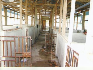 varkensschuur binnen